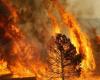 Kampf gegen sommerliche Waldbrände: Eine Gewerkschaftsverordnung legt Pflichten und Verbote fest
