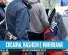 Kiloweise Drogen von Secondigliano nach Molise, Drogenhandelsnetzwerk zerschlagen: 6 Festnahmen