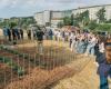 Katholische Universität, 80 Heilpflanzen auf dem Campus in Rom Nachrichtenagentur Italpress