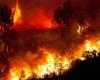 Waldbrände, Gefahrenalarm wird in ganz Kampanien ausgelöst: die Regeln, die eingehalten werden müssen