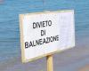 Fäkalienverschmutzung in den Gewässern von Friaul-Julisch Venetien. Hören Sie auf zu schwimmen und Schalentiere zu essen – PrimaFriuli