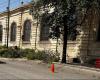 Koordinierung von Bäumen und Stadtgrün in Lecce: „Erneutes Fällen von Bäumen in der Viale De Pietro, ohne dass tatsächlich die Gefahr eines Sturzes besteht“