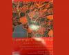 Mazara, ab 16. Juni die Ausstellung „Fragmente der Collage“ des Architekten Domenico Misuraca • Titelseite