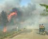 Heute auf Sardinien 19 Brände: Hubschrauber im Einsatz | Nachricht