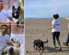 An den Stränden Kalabriens die „Tartadogs“: Hunde, die Schildkröteneier finden und retten