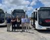 Fiumicino, Caroccia: „Die drei neuen Elektrobusse sind ein Schritt in Richtung einer umweltfreundlicheren Gemeinde“