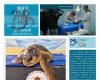 Schildkröte aus dem Meer gerettet und von Ambiente Basso Molise adoptiert