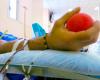 Blutspenden nehmen zu, über 206.000 in der Toskana im Jahr 2023: „Die Herausforderung besteht darin, mehr junge Menschen zu gewinnen“