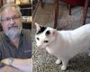 Paolo Carù ist tot, seine Katze Luigi bleibt allein zurück: Aufruf zur Suche nach einer neuen Familie für die Katze des Vinylkönigs