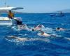 Schwimmen, Überquerung der Straße von Messina am 16. Juni für 12 GSPD-Athleten