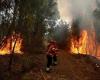 Castellabate, acht Brände in drei Tagen: „Es wird ein harter Schlag“