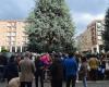 Umweltschützer und Anwohner gehen auf die Straße (Europa) gegen die Abholzung monumentaler Pflanzen – Targatocn.it