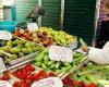 In Modena beginnt die Inflation wieder zu steigen, Rechnungen und Lebensmittel fordern ihren Tribut – Wirtschaft