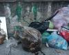 Turin, sie schlachten ein Schaf und lassen es auf einem Bürgersteig zurück – Turin News