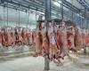 Die Preise für Schweinefleisch steigen im Mai erneut