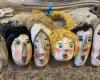 In Cagliari, Puppen und Marionetten auf der Bühne für die Kleinen – Neuigkeiten