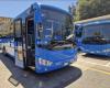 Neue Überlandbusse zwischen Florenz und Arezzo. Und At will bis 2025 die Hälfte der Flotte erneuern