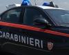 Naples, transportierte Tiernahrung, die gestohlen aufgefunden wurde: 46-Jähriger meldete sich