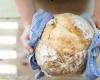 Brot und Bäcker Italiens 2025, welche sind die besten Bäckereien in Pavia und seiner Provinz?