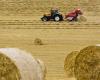 Sardinien: Hunderte Traktoren und über zweitausend Bauern auf den Straßen wegen der Dürre