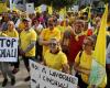 Wildschweinalarm: Über 500 Bauern aus Brescia protestieren in Mailand