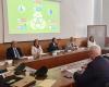 Not verhindern durch Aufwertung junger Menschen: „Pakt“ in Salerno zur Vernetzung von Institutionen
