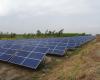 Sonnenkollektoren auf dem Land im Friaul: Die Anlagen müssen mit dem Gebiet geteilt werden