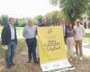 „Gelbe Nächte“ in Alessandria zur Feier der Tour de France – Neuigkeiten