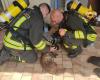 Hund von Feuerwehrleuten gerettet. VIDEO Reggioline -Telereggio – Aktuelle Nachrichten Reggio Emilia |