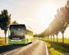 Brindisi: FlixBus verstärkt sein Angebot für den Sommer und stärkt die Verbindungen mit der Region