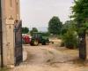 Vicenza überfährt seine Frau mit dem Traktor im Hof ​​des Familienbauernhofs: Die alte Frau stirbt kurz darauf