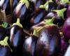 Mit Parmigiana sollte man lieber bis Weihnachten warten: Der Preis für Auberginen steigt wieder