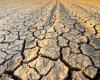 Dürre in Sizilien, Risiko von Produktionsverlusten von bis zu 50 %, Region heißt Fedagripesca sofort willkommen