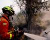 Feuer in Maruggio, Wald und Häuser von Flammen belagert: Jagd auf Brandstifter mit Belohnung von fünftausend Euro