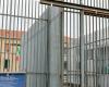 Alì beging im Gefängnis von Novara Selbstmord: „Zu viele Tote in Italien, genug ist genug“