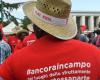 Toter Arbeiter, die Regierung kündigt den Kampf gegen Gangmastering an. Die Opposition: „Nein zu Spottmaßnahmen“