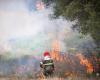 Brände in der Provinz Nisse, die sogar Häuser in Mitleidenschaft ziehen: Aufgrund der Brandgefahr bleibt die Alarmbereitschaft hoch