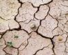 Dürre, Sizilien: Agrarnotstand. Fedagripesca: 50 % verloren