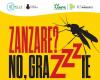 Mücken? Nein danke! – Aamps Livorno