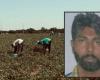 Die Autopsie von Satnam Singh, die Last der Verzögerung der Rettung: „Er starb auch an starken Blutungen“