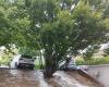 Schlechtes Wetter, starke Regenfälle in den Marken: Überschwemmungen