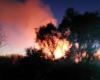 Brände in Sizilien, die Region erneuert die Vereinbarung mit den Feuerwehrleuten