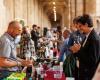 DeGusti Kunst, Wein und sizilianische Gastronomie kehren nach Trapani auf dem ehemaligen Fischmarkt zurück