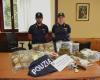 Kiloweise Drogen werden in der gesamten Lombardei verkauft, die Polizei von Busto Arsizio löst zwei Gruppen von Drogendealern auf