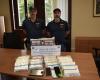 Sie verkauften Kokain und Haschisch im Großhandel in der Provinz Varese: Die kriminelle Vereinigung wurde von der Staatspolizei aufgelöst