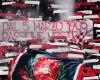 Rette den dorischen Fußball. Die öffentliche Bekanntmachung der Gemeinde zur Einholung der Interessenbekundung