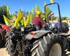 Bitonto, Bauernprotest gegen den Dürrenotstand auf den Feldern: Traktoren an die Brunnen gekettet