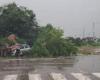 Schlechtes Wetter in der Provinz Treviso: Züge stehen in Conegliano fest, Baum auf einem Auto in Maser