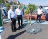 „Plastikfressende Fische“ kommen in Torre del Greco an: ein ökologischer Wendepunkt am Strand