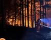 Feuer und Feueranzünden in der Toskana ab 1. Juli verboten: So melden Sie es